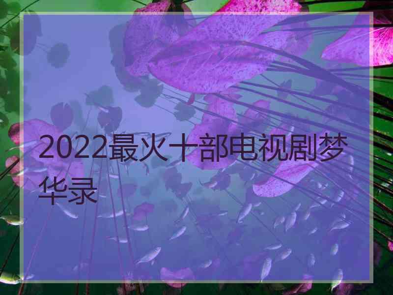 2022最火十部电视剧梦华录