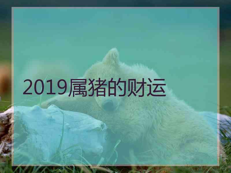 2019属猪的财运