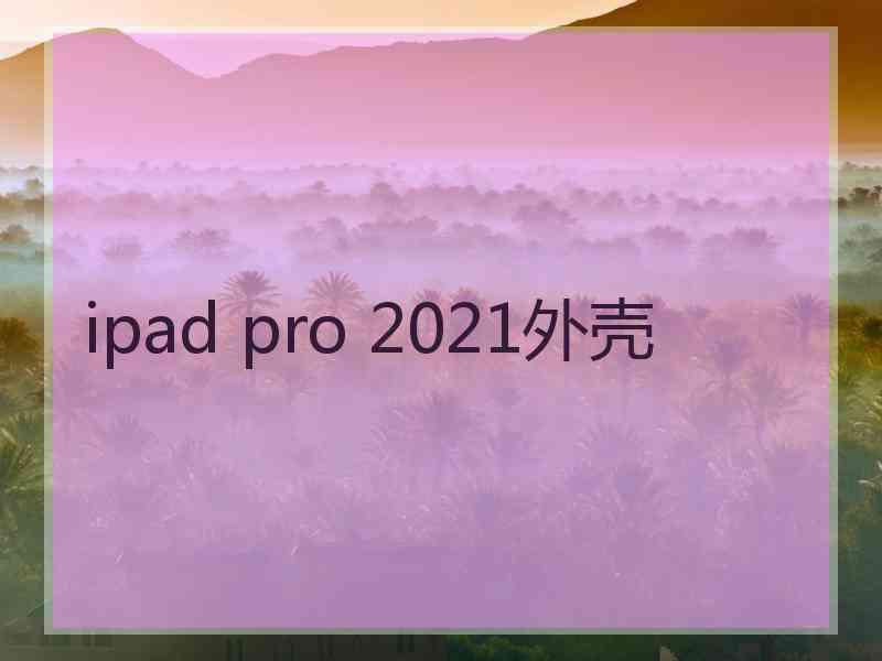 ipad pro 2021外壳