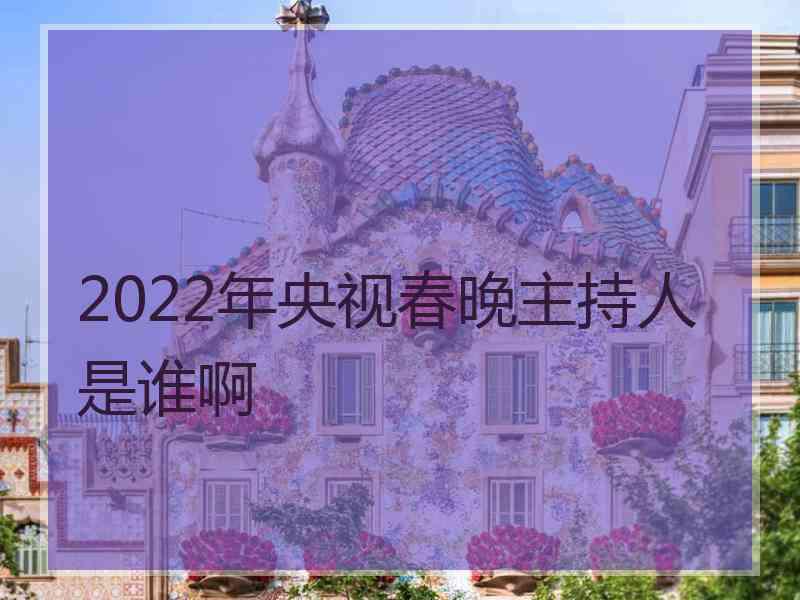 2022年央视春晚主持人是谁啊