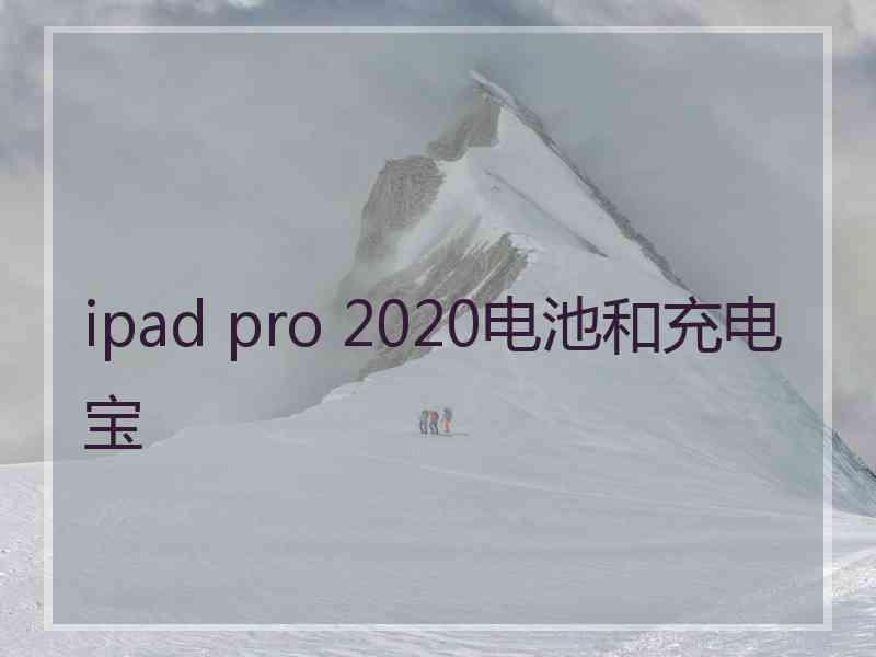 ipad pro 2020电池和充电宝