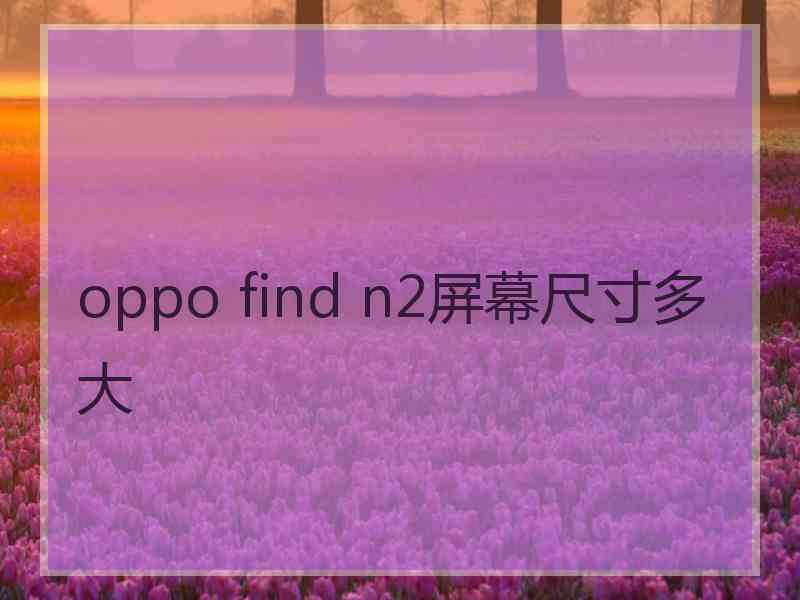 oppo find n2屏幕尺寸多大