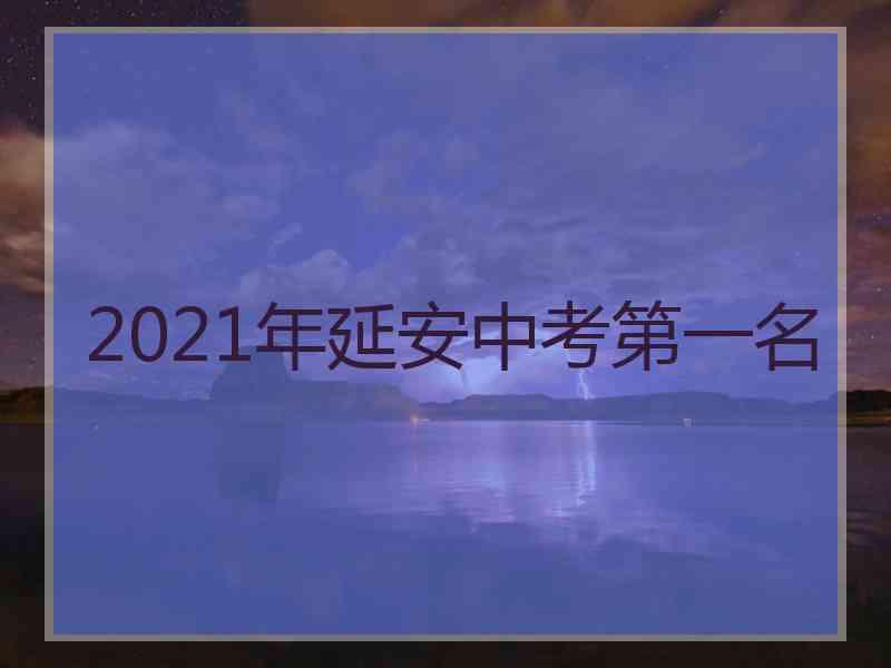 2021年延安中考第一名