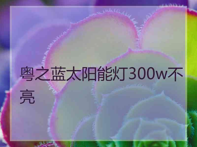 粤之蓝太阳能灯300w不亮