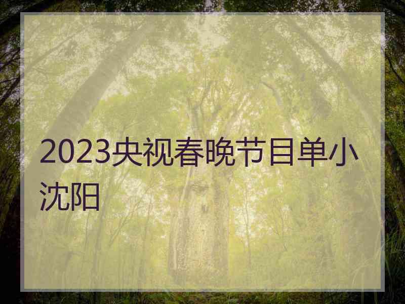 2023央视春晚节目单小沈阳