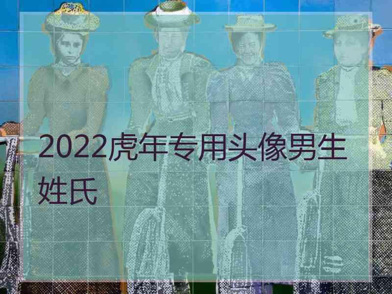 2022虎年专用头像男生姓氏