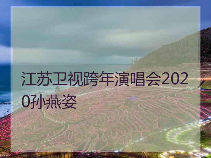 江苏卫视跨年演唱会2020孙燕姿