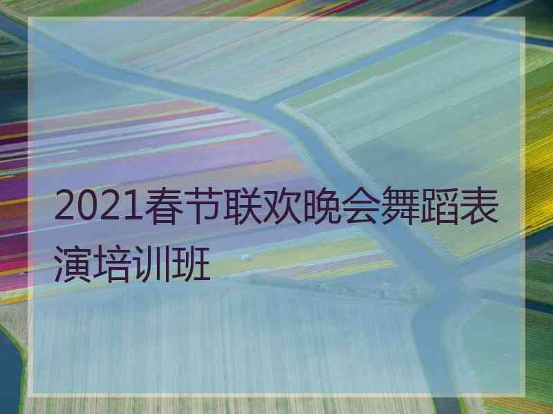 2021春节联欢晚会舞蹈表演培训班