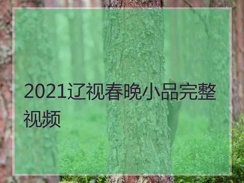 2021辽视春晚小品完整视频