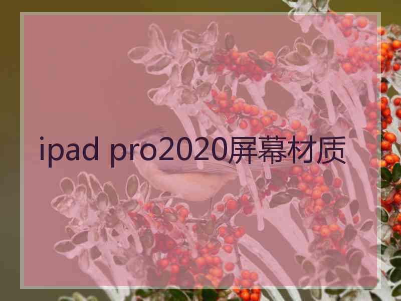 ipad pro2020屏幕材质