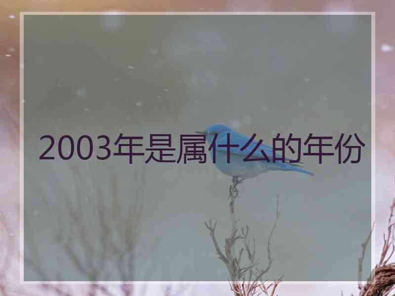 2003年是属什么的年份