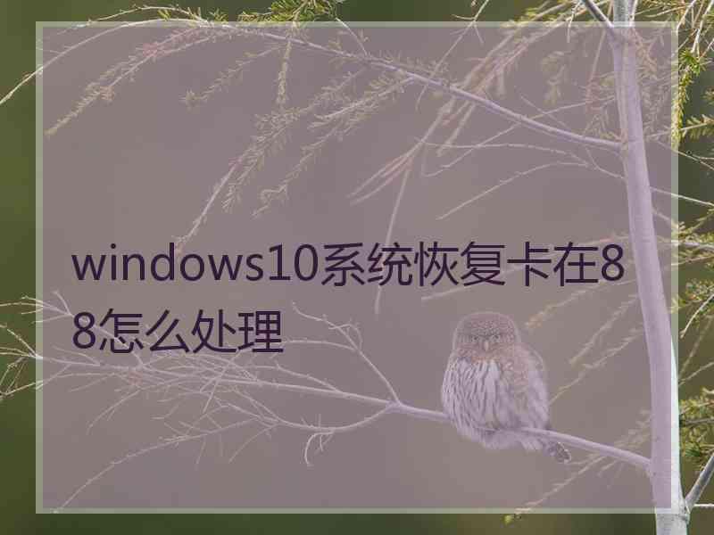 windows10系统恢复卡在88怎么处理