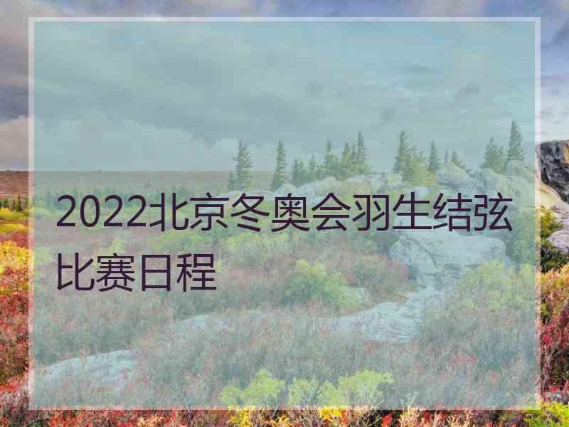 2022北京冬奥会羽生结弦比赛日程