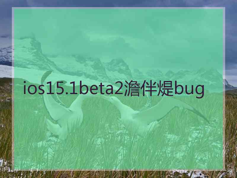 ios15.1beta2澹伴煶bug