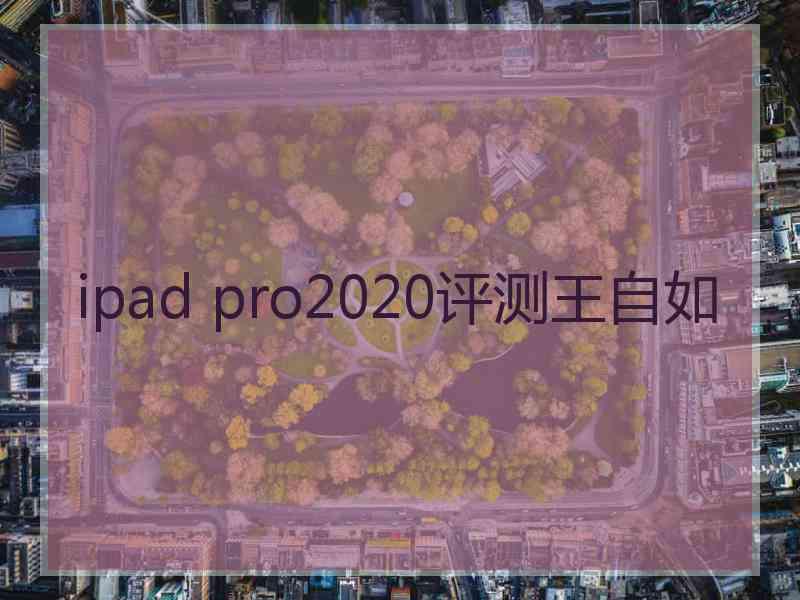 ipad pro2020评测王自如