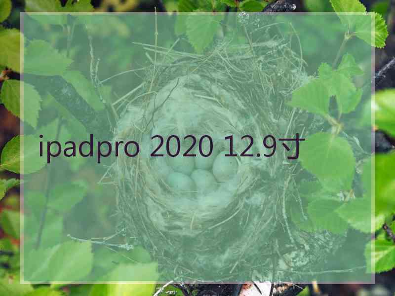 ipadpro 2020 12.9寸