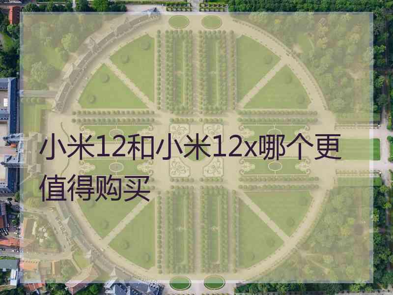 小米12和小米12x哪个更值得购买