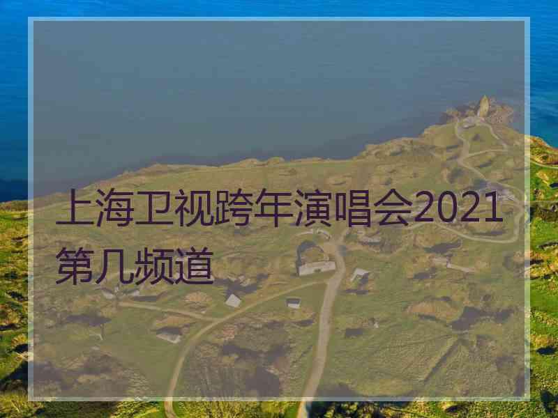 上海卫视跨年演唱会2021第几频道