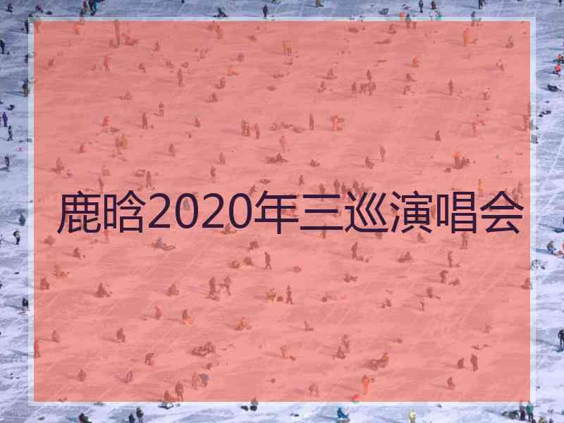 鹿晗2020年三巡演唱会