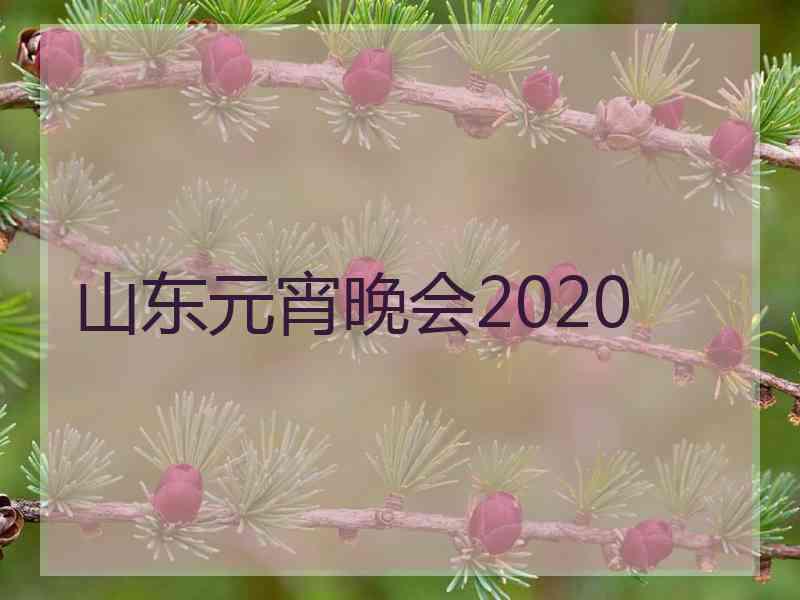 山东元宵晚会2020