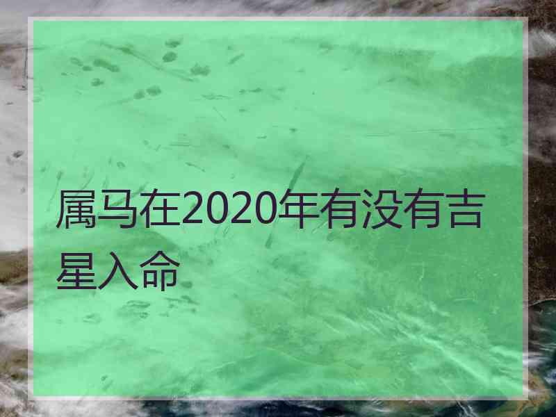 属马在2020年有没有吉星入命