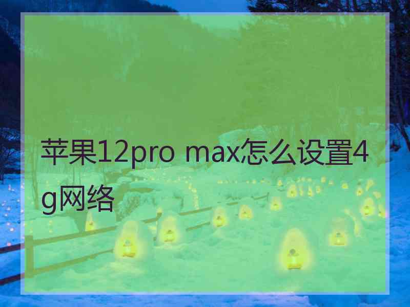 苹果12pro max怎么设置4g网络