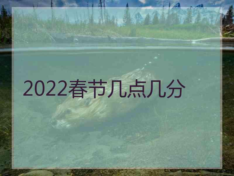 2022春节几点几分