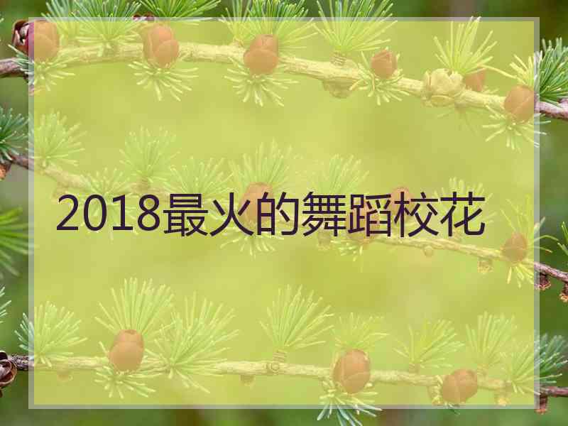 2018最火的舞蹈校花