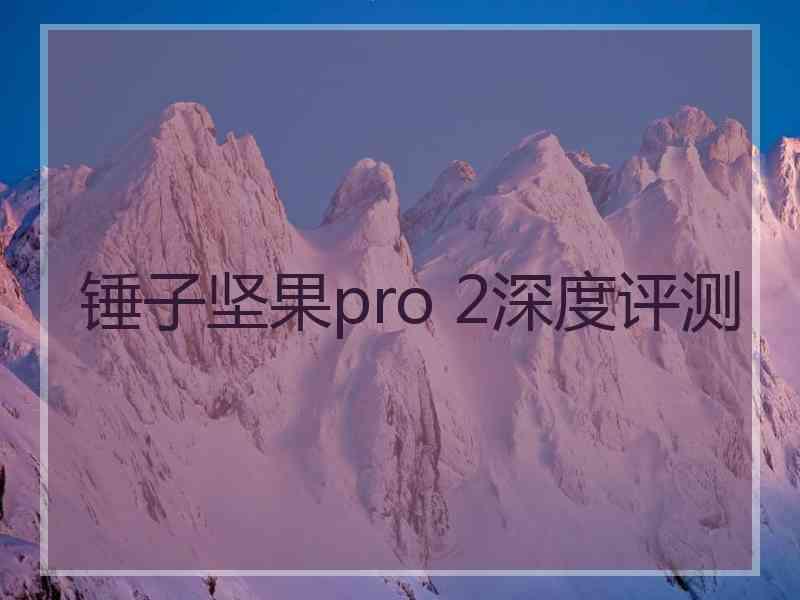 锤子坚果pro 2深度评测