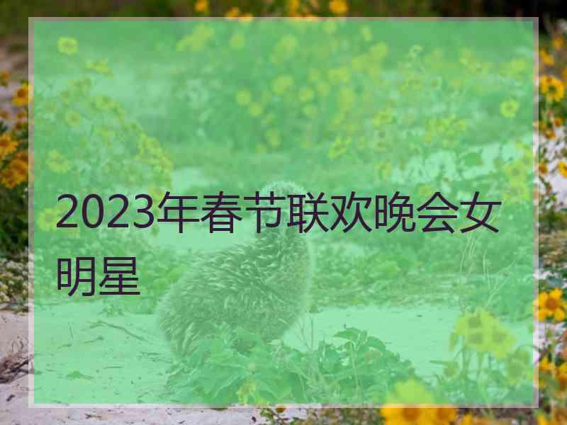 2023年春节联欢晚会女明星