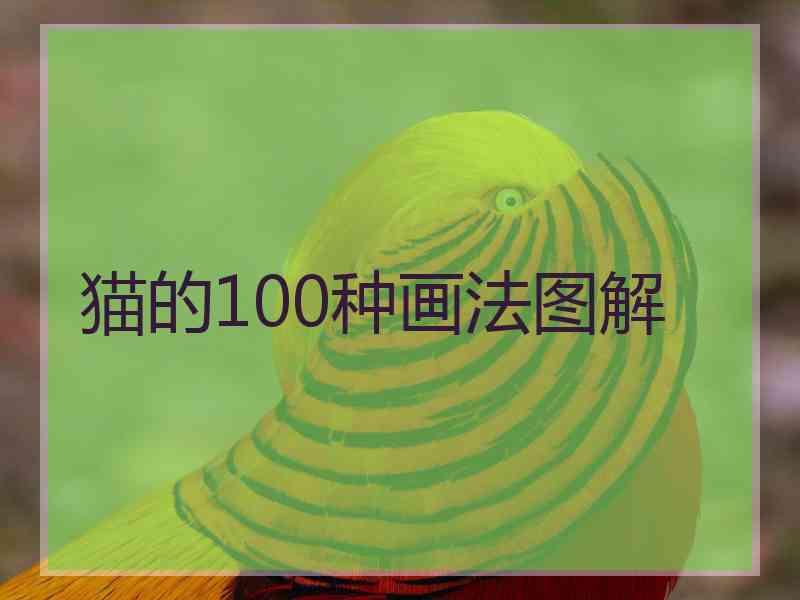 猫的100种画法图解