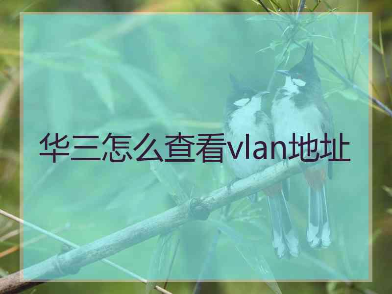 华三怎么查看vlan地址