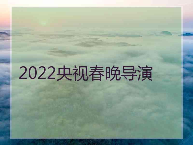 2022央视春晚导演