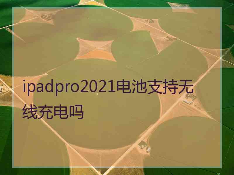 ipadpro2021电池支持无线充电吗