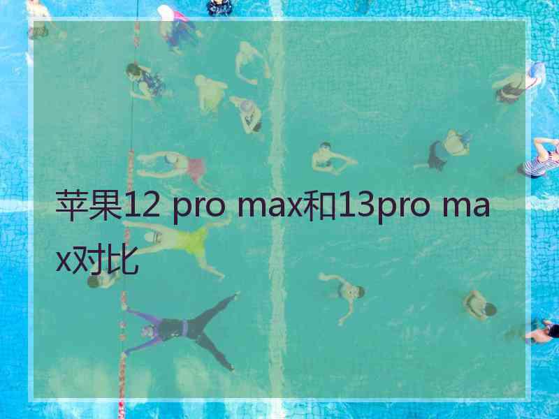 苹果12 pro max和13pro max对比