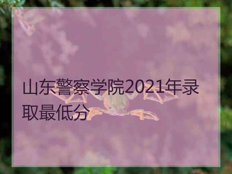 山东警察学院2021年录取最低分