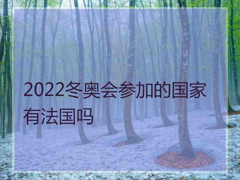 2022冬奥会参加的国家有法国吗