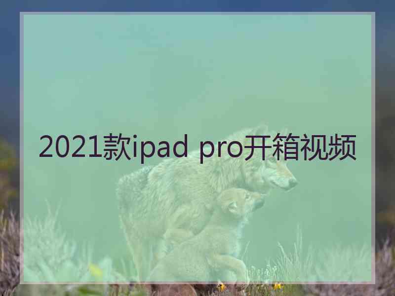 2021款ipad pro开箱视频