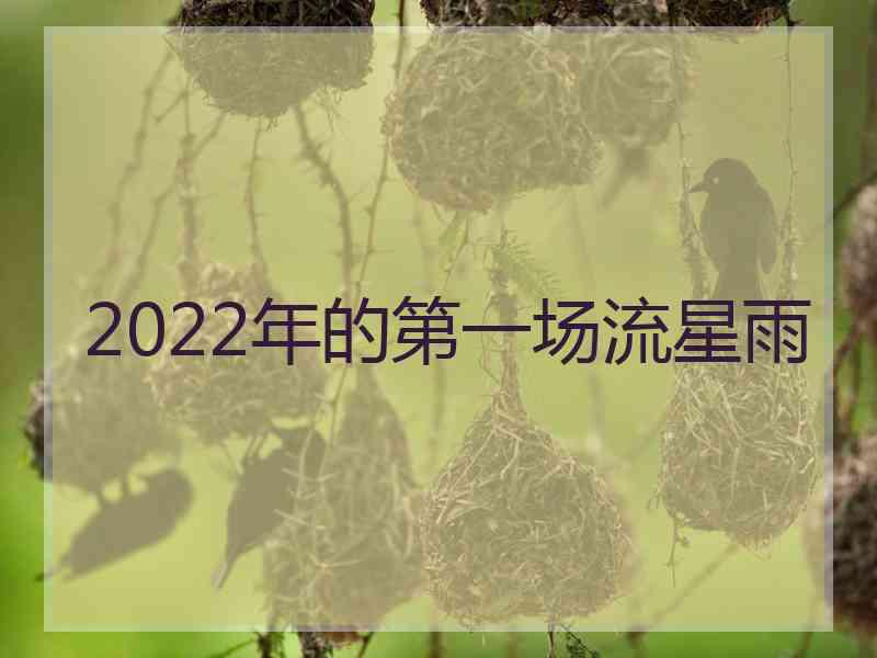 2022年的第一场流星雨