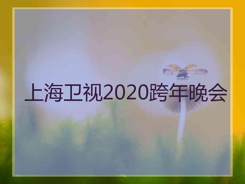 上海卫视2020跨年晚会