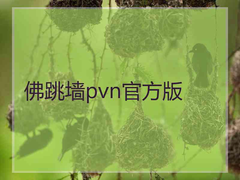 佛跳墙pvn官方版