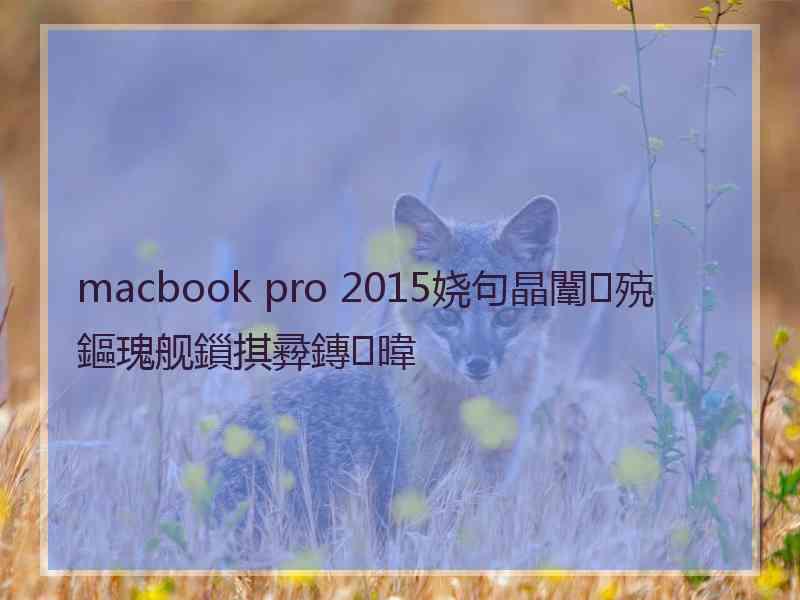 macbook pro 2015娆句晶闈㈢殑鏂瑰舰鎻掑彛鏄暐