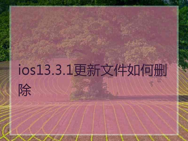 ios13.3.1更新文件如何删除