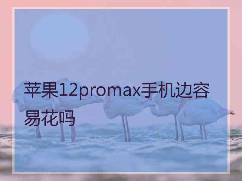 苹果12promax手机边容易花吗