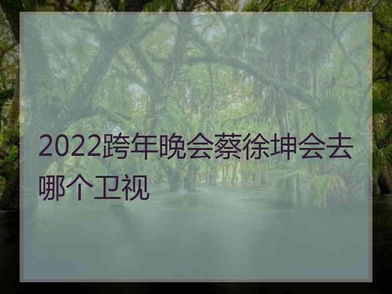 2022跨年晚会蔡徐坤会去哪个卫视