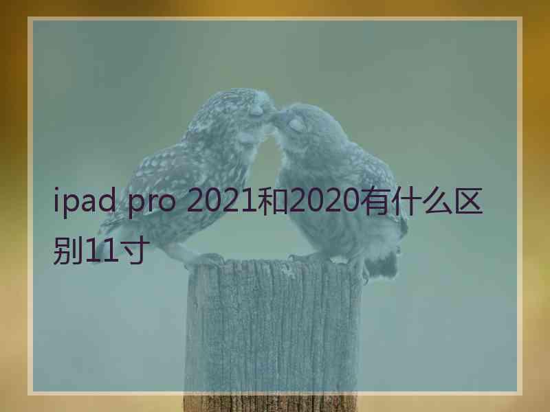 ipad pro 2021和2020有什么区别11寸