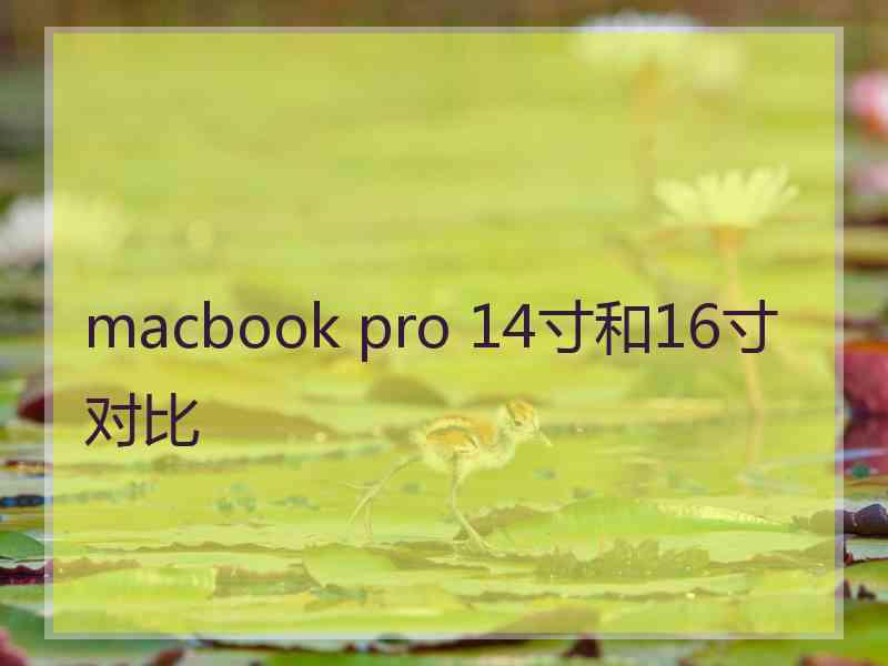 macbook pro 14寸和16寸对比