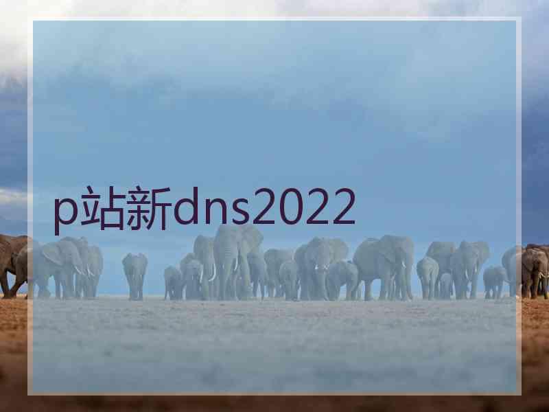 p站新dns2022