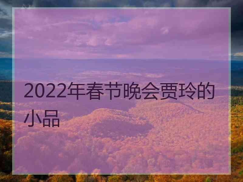 2022年春节晚会贾玲的小品