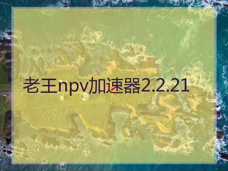 老王npv加速器2.2.21